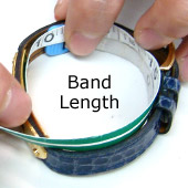 Bracelet (Ban Length)