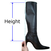 Height